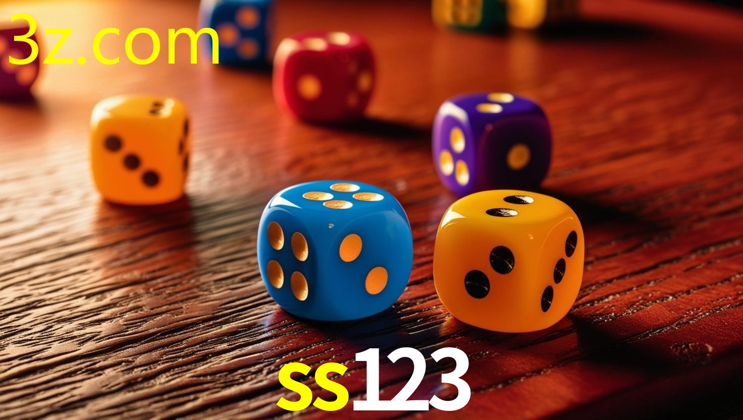 SS123